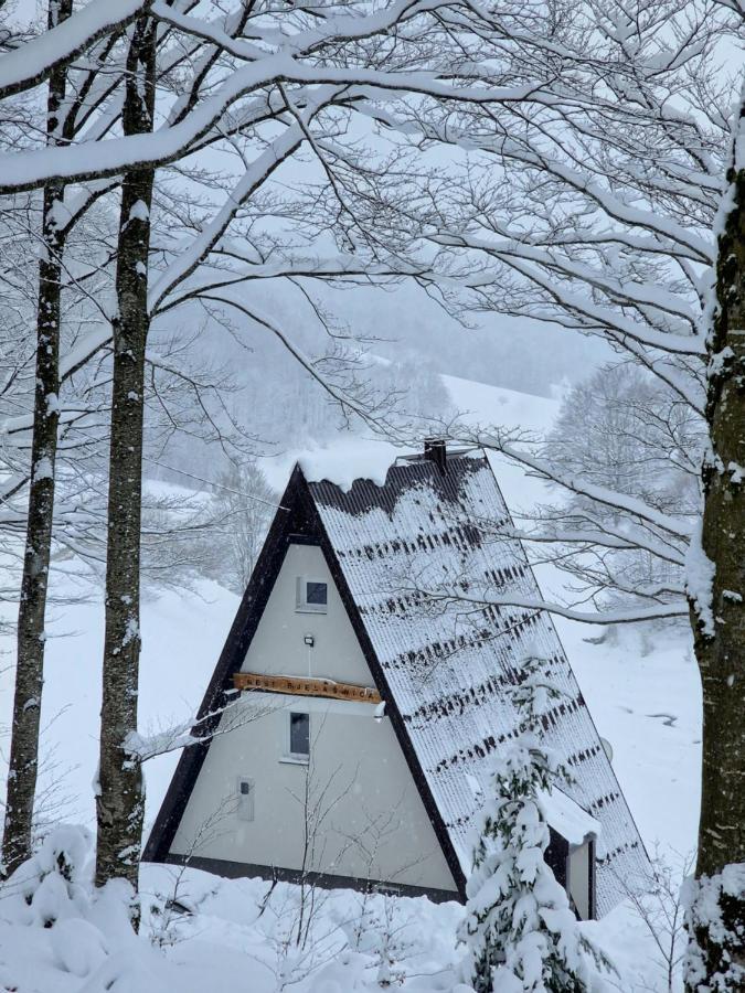 Weekend House Nest بيلاسنيكا المظهر الخارجي الصورة