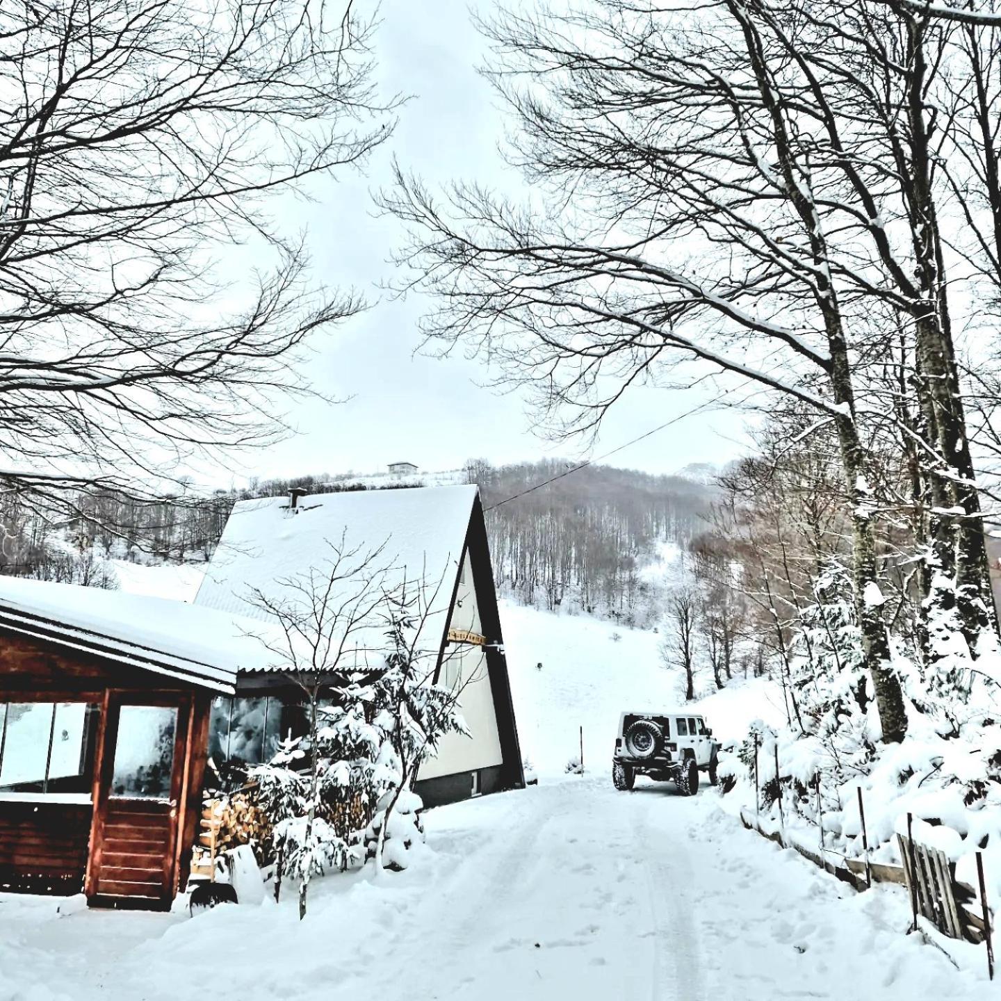 Weekend House Nest بيلاسنيكا المظهر الخارجي الصورة